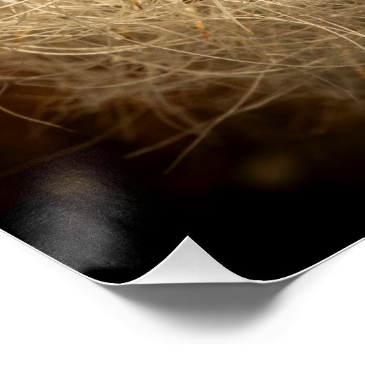 Poster Une fleur (Coin)