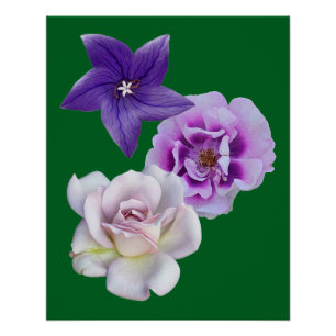 Poster Une fleur