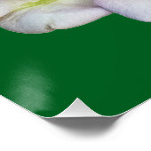 Poster Une fleur (Coin)