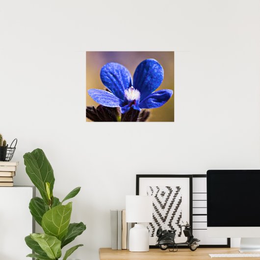 Poster Une fleur bleue (Bureau à domicile)