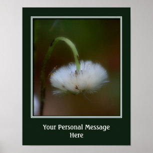 Poster Une fleur duveteuse Créez votre propre personnalis