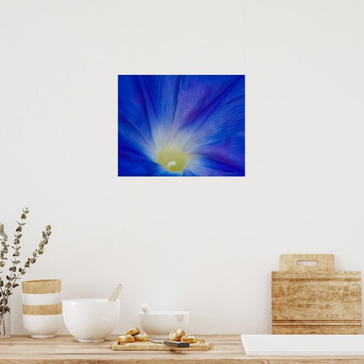 Poster Une fleur glacée bleue du matin (Cuisine)