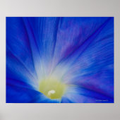 Poster Une fleur glacée bleue du matin (Devant)