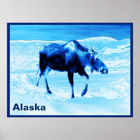 Poster Une Fois Dans Une Oie Bleue (Devant)