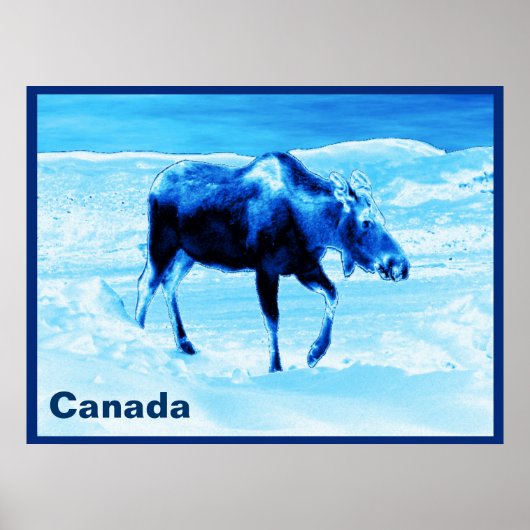Poster Une Fois Dans Une Oie Bleue (Devant)