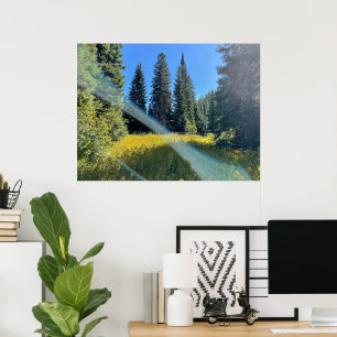 Poster Une forêt magique
