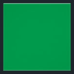 Poster Une fougère verte luxuriante avec délicatesse et f<br><div class="desc">Voici la vue enchanteresse d'une foune verte vibrante,  ses feuilles délicats et ornés créant un spectacle fascinant de beauté naturelle. Cette image vous apportera un sentiment de tranquillité et de sophistication dans votre décor.</div>