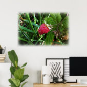 Poster Une framboise mûre (Bureau à domicile)