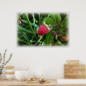Poster Une framboise mûre (Cuisine)