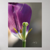 Poster Une gauche (Devant)