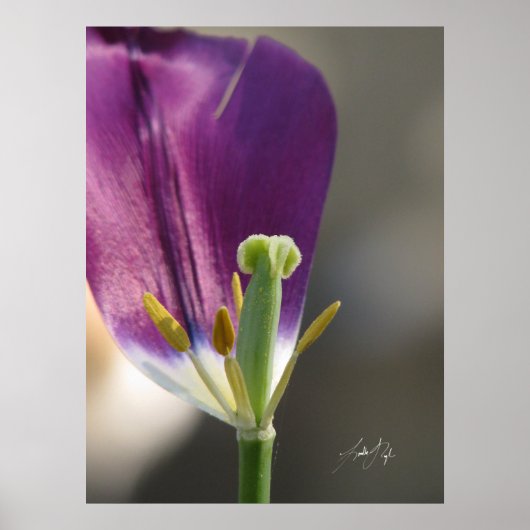 Poster Une gauche (Devant)