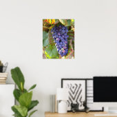 Poster Une grappe de raisins Pinot Noir dans un Chamberti (Bureau à domicile)