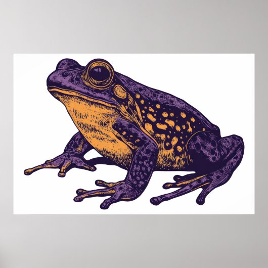 Poster Une illustration de grenouille - grande (Devant)