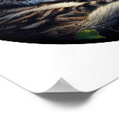 Poster Une image circulaire 3D d'un beau manteau de Maine (Coin)