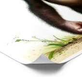 Poster Une image de chimpanzé à l'aquarelle rendue en 3D (Coin)