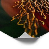 Poster Une Jamaïcaine Portrait Peinture à l'huile (Coin)