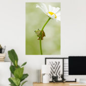 Poster Une jolie grenouille (Bureau à domicile)