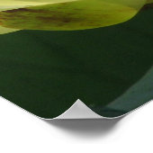 Poster Une journée à la série d'étangs (Coin)