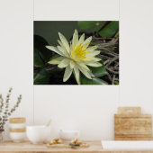 Poster Une journée à l'étang (Cuisine)