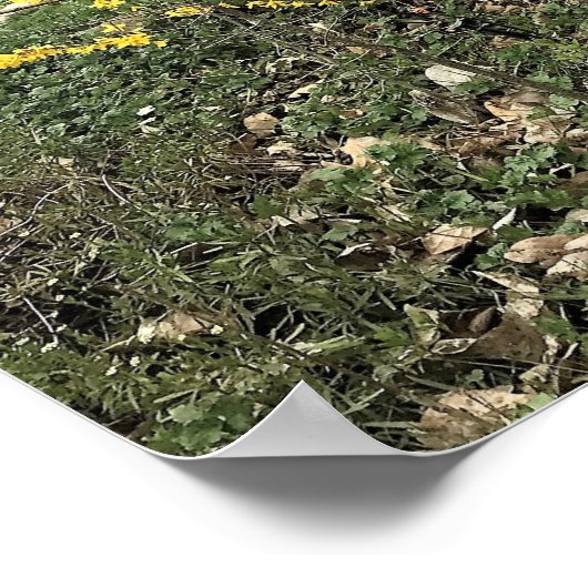 Poster Une journée dans le parc (Coin)