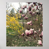 Poster Une journée dans le parc (Devant)