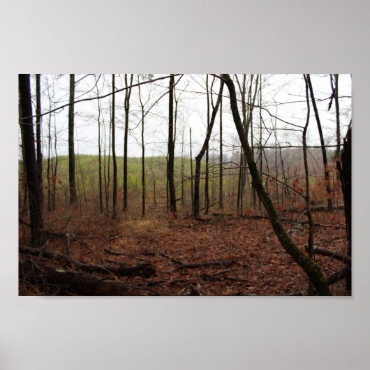 Poster Une journée dans les bois (Devant)