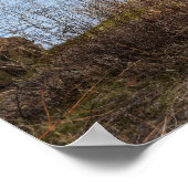 Poster Une journée ensoleillée sur la rivière (Coin)