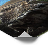 Poster Une journée sous la paume (Coin)