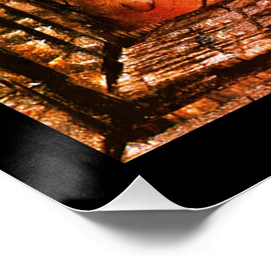 Poster Une larme (Coin)