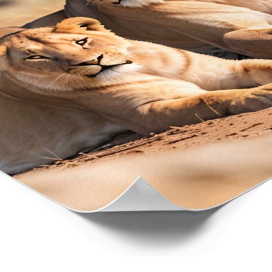 Poster Une lionne avec son petit (Coin)