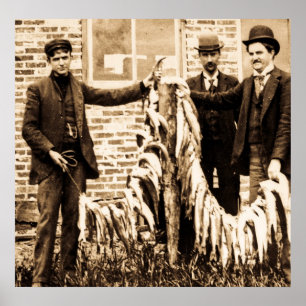 Poster Une lisse complètement des poissons un crochet fin