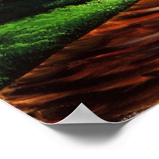 Poster Une lumière sur mon chemin (Coin)