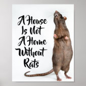 Poster Une maison n'est pas une maison sans rats (Devant)