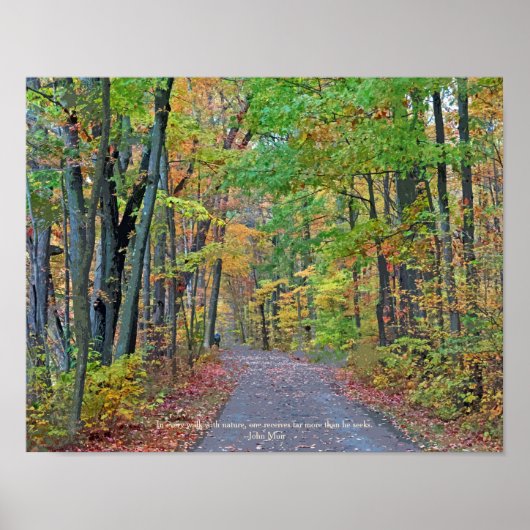 Poster Une marche dans les bois d'automne Photographie or (Devant)