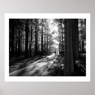 Poster Une marche en forêt : Parc de Mizumoto, Tokyo