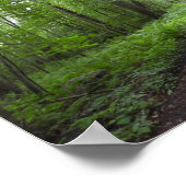 Poster Une marche pacifique à Woods (Coin)