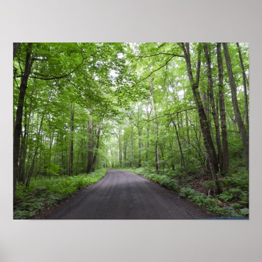 Poster Une marche pacifique à Woods (Devant)