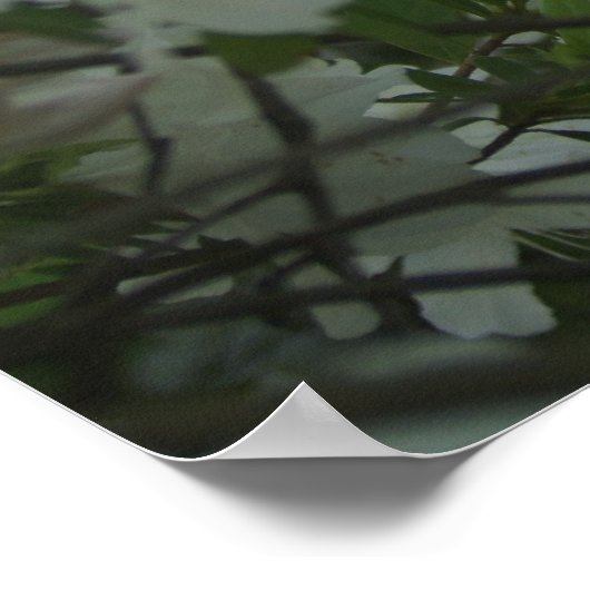 Poster Une marche printanière (Coin)