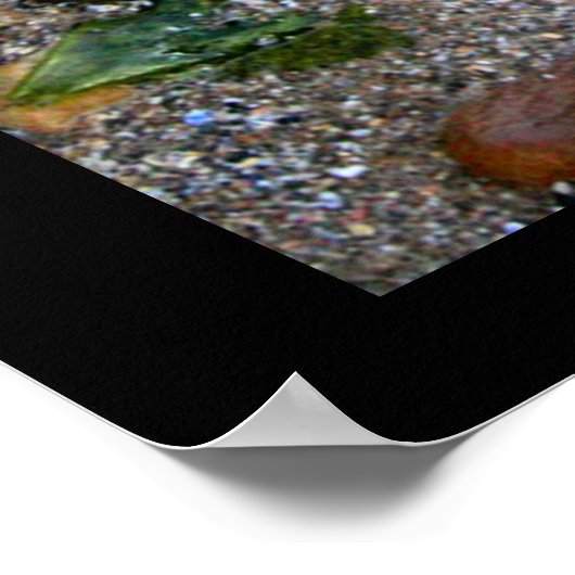 Poster Une marée d'affiche cachée au trésor (Coin)