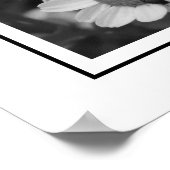 Poster Une marguerite spéciale (Coin)