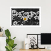 Poster Une marguerite spéciale (Bureau à domicile)