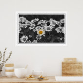 Poster Une marguerite spéciale (Cuisine)