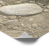 Poster Une mine terrestre simulée (Coin)