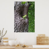 Poster Une nouvelle brindille (Cuisine)