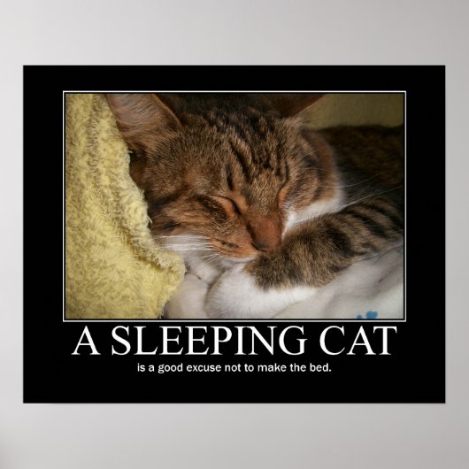 Poster Une oeuvre de chat couché (Devant)