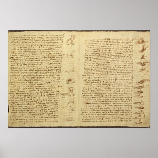 Poster Une page du Codex Leicester, 1508-12 (Devant)