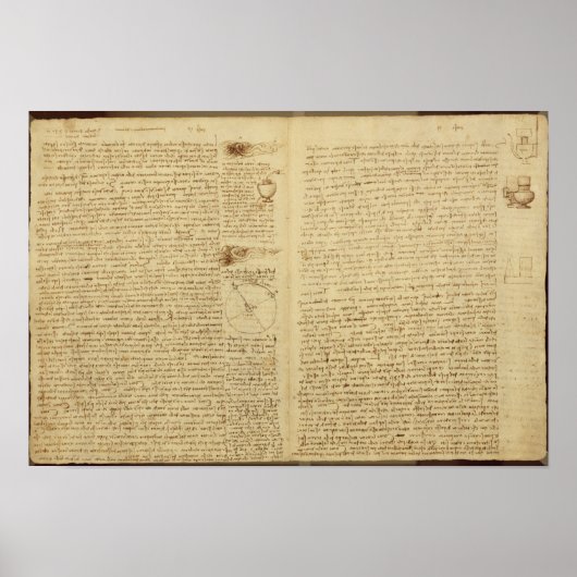 Poster Une page du Codex Leicester, 1508-12 (Devant)