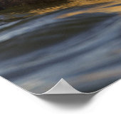 Poster Une paire de courtisants dans un étang de toundra (Coin)