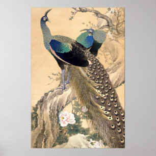 Poster Une paire de paons au printemps 1901 Art japonais