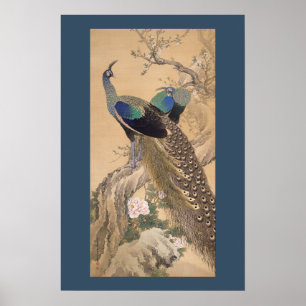 Poster Une paire de paons au printemps par Imao Keinen